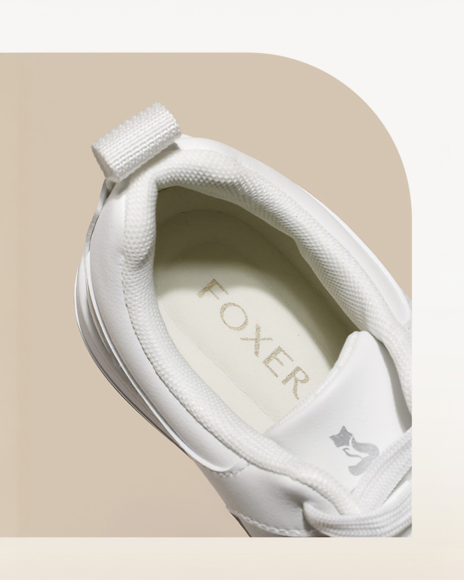 Urban Sneakers - Edición Casual
